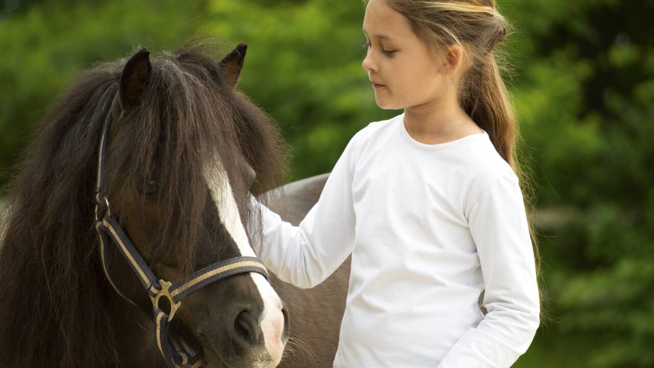 Der hoteleigene Pferdehof bietet u. a. Ponyreiten und Kutschfahrten und ist damit sicher ein Hit für Kinder