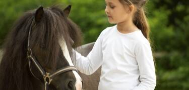 Der hoteleigene Pferdehof bietet u. a. Ponyreiten und Kutschfahrten und ist damit sicher ein Hit für Kinder