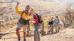 Erleben Sie die fantastische Natur im Nationalpark Harz. Die Gegend hat fast 200 km Wanderwege