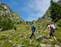 At Hotel Steiner, adventure is at your doorstep! With many hiking and cycling trails right around the corner.