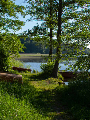 Här bor ni nära naturen, med fina promenadstråk runt knuten.
