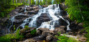 Erkunden Sie das Naturreservat Smitingen und einen der größten Wasserfälle Schwedens: den Västanåfallet.