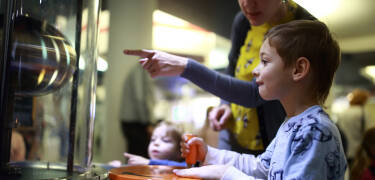 Tag med ressällskapet till Härnösand Bilmuseum och Technichus Science Center.
