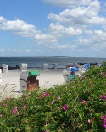 Hotel Gremersdorf