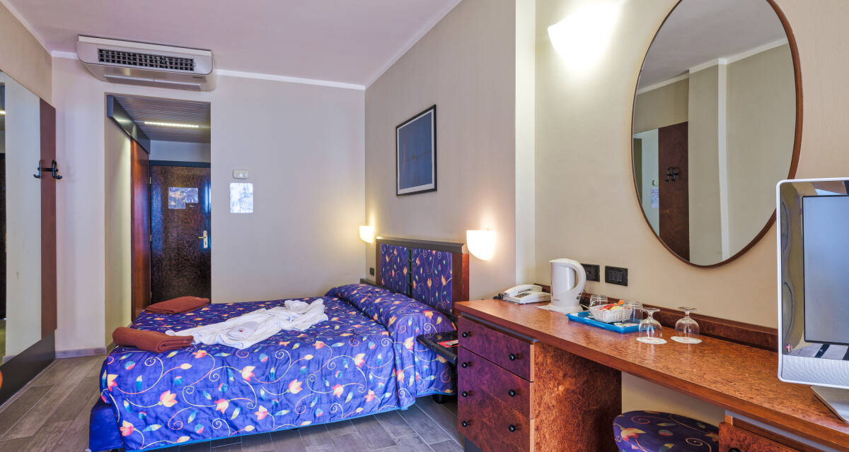 Superior double or twin room