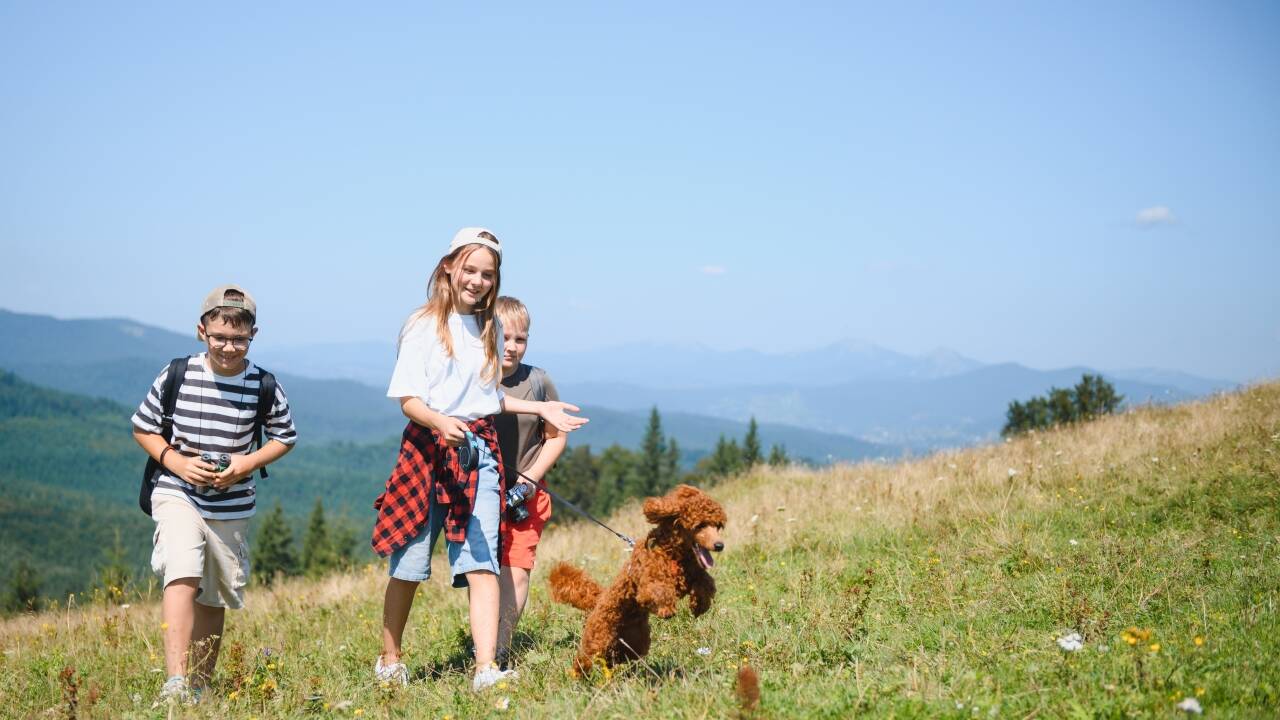 Oplev børnevenlige vandreruter og smuk natur sammen i Oberpfalz-skoven.