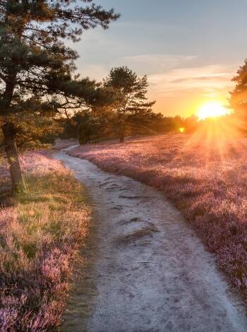 Hotellet ligger nær det vakre nordtyske hedelandskapet, Lüneburger Heide, som er preget av bølgende åser og lyngplanter.