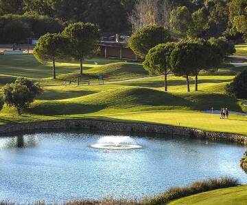 Silkeborg ist eine malerische dänische Stadt, in der Besucher durch Wälder wandern, auf Seen Boot fahren, in der Natur Rad fahren und die kulturellen Sehenswürdigkeiten der Umgebung entdecken können.