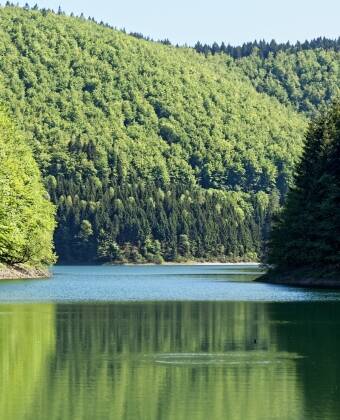 Oplev de fantastiske naturomgivelser i området, som er helt perfekt til vandre- og cykelture