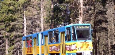 Dra med Thüringerwaldbahn gjennom noen av Tysklands vakreste landskaper.