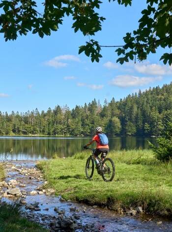 Utforsk nærliggende turstier, sykkelveier og vintersportmuligheter hele året.