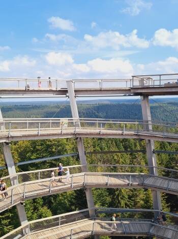 Gå blant tretoppene på den nærliggende Tretoppstien Schwarzwald.