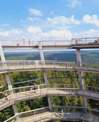 Spazieren Sie zwischen den Baumwipfeln auf dem nahegelegenen Baumwipfelpfad Schwarzwald.