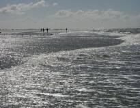 Explore the stunning scenery around the Wadden Sea National Park. Visit Europe's widest beaches on Rømø.