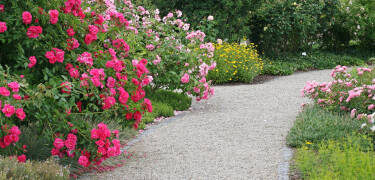 In der Stadt laden zahlreiche Entspannungsgärten zum Verweilen ein.