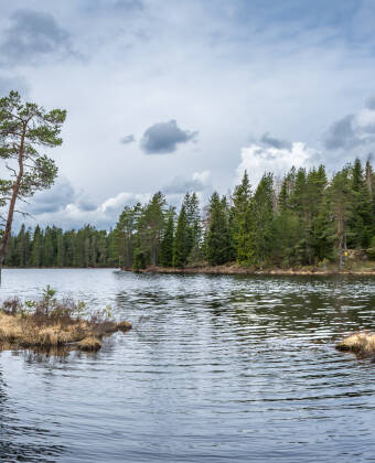 Erkunden Sie das nahe gelegene Ånnaboda mit seinen einladenden Wanderwegen.