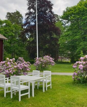 Promenera runt i hotellets grönskande närområde eller slå er ner i parken med något gott i glaset.