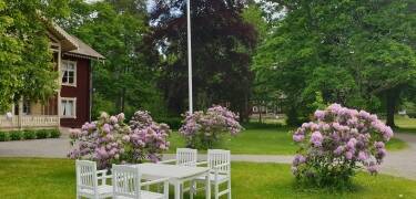 Machen Sie in der wunderschönen grünen Umgebung des Hotels einen Spaziertgang, oder setzen Sie sich mit einem leckeren Drink in den Park.