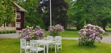 Tag på en dejlig gåtur i hotellets grønne omgivelser, eller sæt jer i parken med en lækker drink.