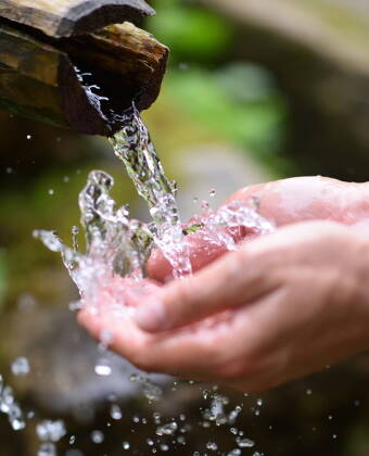 Smag på kildevandet fra hotellets egen wellness-fontæne (hotellet stiller papkrus til rådighed).