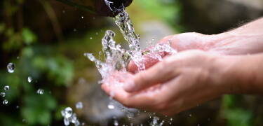 Smag på kildevandet fra hotellets egen wellness-fontæne (hotellet stiller papkrus til rådighed).