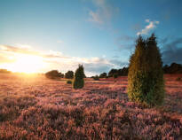 Explore the area on foot or on two wheels, or hop in the car and explore the stunning scenery of the Lüneburger Heide.