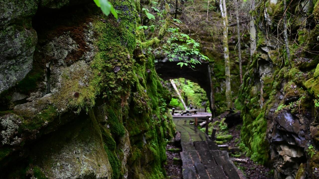 Oplev Närke naturen med naturskønne vandreruter og fredelige gåture langs søen i nærheden.