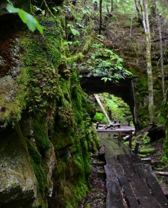Entdecken Sie die Natur von Närke mit schönen Wanderwegen und entspannten Spaziergängen am See.