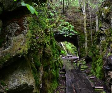 Entdecken Sie die Natur von Närke mit schönen Wanderwegen und entspannten Spaziergängen am See.