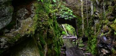 Entdecken Sie die Natur von Närke mit schönen Wanderwegen und entspannten Spaziergängen am See.