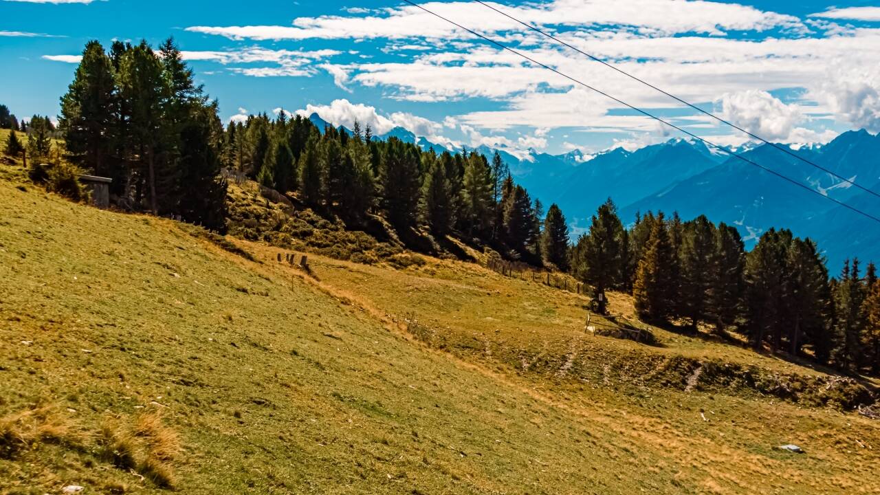 Das Gebiet um den Patscherkofel liegt in der Nähe und bietet großartige Wanderwege, frische Bergluft und eine herrliche Aussicht.