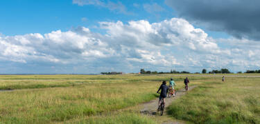 Oppdag det unike østfrisiske landskapet, ideelt for sykkelturer langs kysten og på landsbygda.