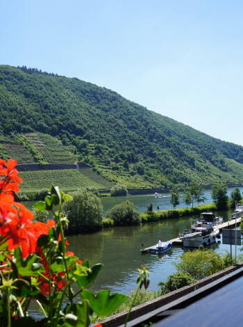 Moselhotel & Restaurant Traube