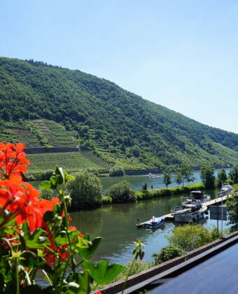 You'll stay in cosy rooms, many with views of the Moselle, and some with balconies.