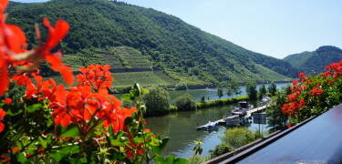 Flera av hotellrummen bjuder på en fin utsikt över Mosel-floden.
