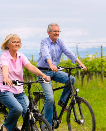 There are several good cycling paths in the area, inviting you to go for a ride on two wheels.