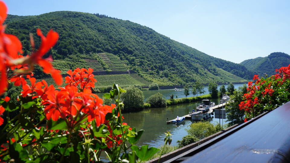 Flera av hotellrummen bjuder på en fin utsikt över Mosel-floden.