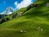 Hotellet har en vakker beliggenhet ved foten av Østerrikes høyeste fjell, Grossglockner, og driver sitt eget lille landbruk