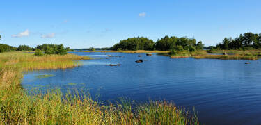 Experience the unspoilt beauty of Åsnens National Park, just a short trip away.