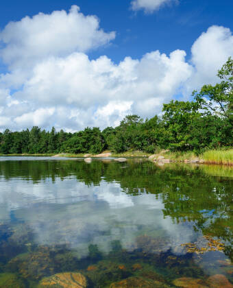 Genießen Sie die schöne Natur im Schärengarten von Arkösund.