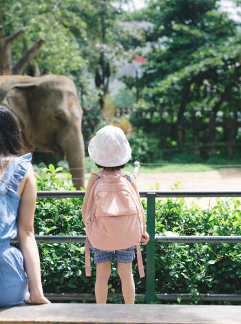 Machen Sie mit der ganzen Familie einen Ausflug zum ZOO Kolmården.
