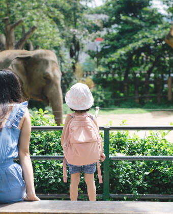 Machen Sie mit der ganzen Familie einen Ausflug zum ZOO Kolmården.