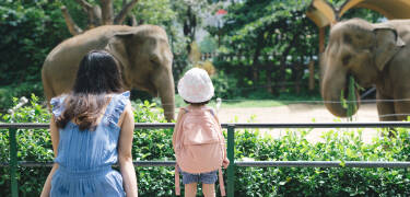 Dra på utflukt med hele familien til Kolmården ZOO.