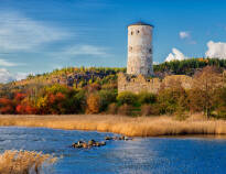 Ta en utflukt til Stegeborg Slottsholmen og utforsk ruinene av Stegeborg slott.