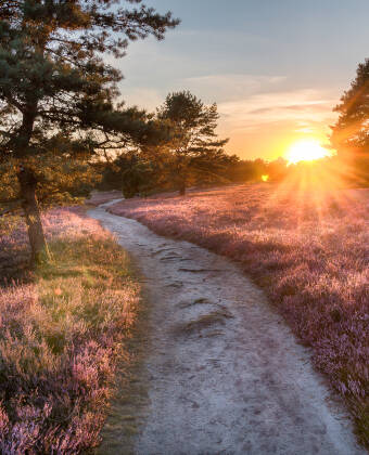 Oppdag den unike naturen i Lüneburger Heide – rett utenfor døren.