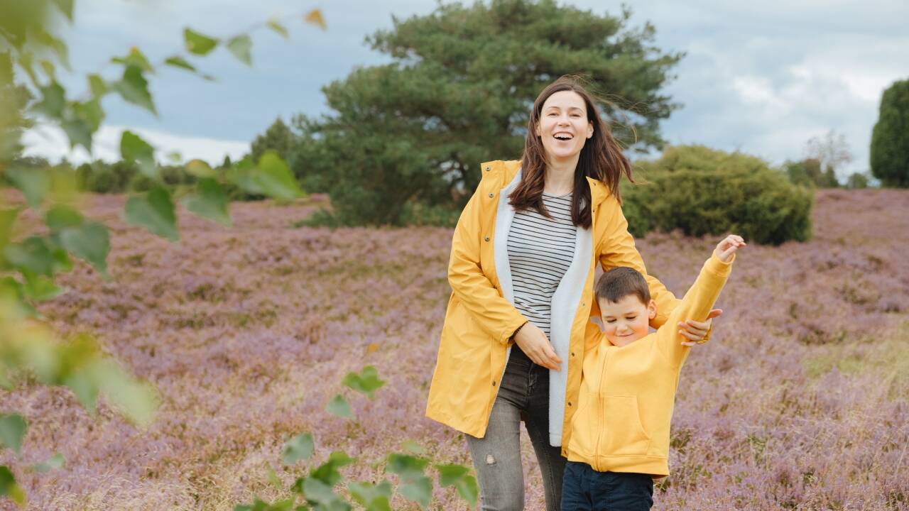 Du kan nyte vakre turer i den fantastiske naturen på Lüneburg Heath.