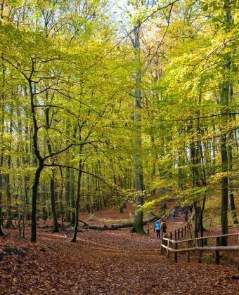 Wolin National Park är perfekt för natur- och äventyrsentusiaster.