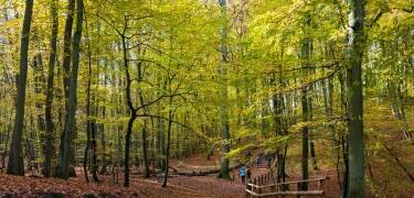 Noen skritt fra Wolin nasjonalpark: Ideelt for natur- og opplevelsesentusiaster.