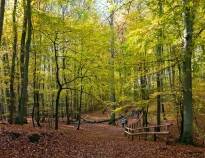 Steps from Wolin National Park: Ideal for nature and adventure enthusiasts.