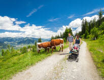 Saalbach är omgivet av vackra landskap och ca 400 km cykel- och vandringsleder som väntar på att utforskas.